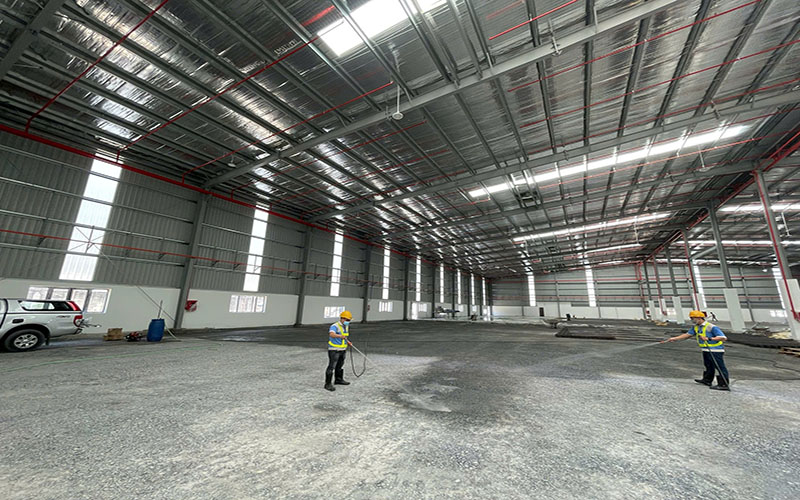 Lý do bạn nên chống mối cho công trình xây dựng