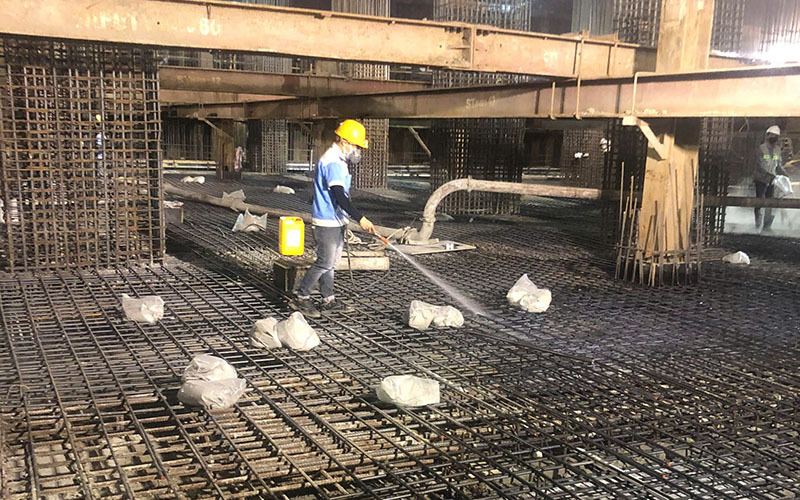 Lý do bạn nên phòng chống mối cho công trình xây dựng