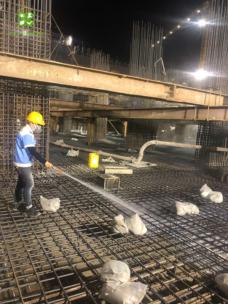 Tại sao cần phải diệt mối công trình tận gốc