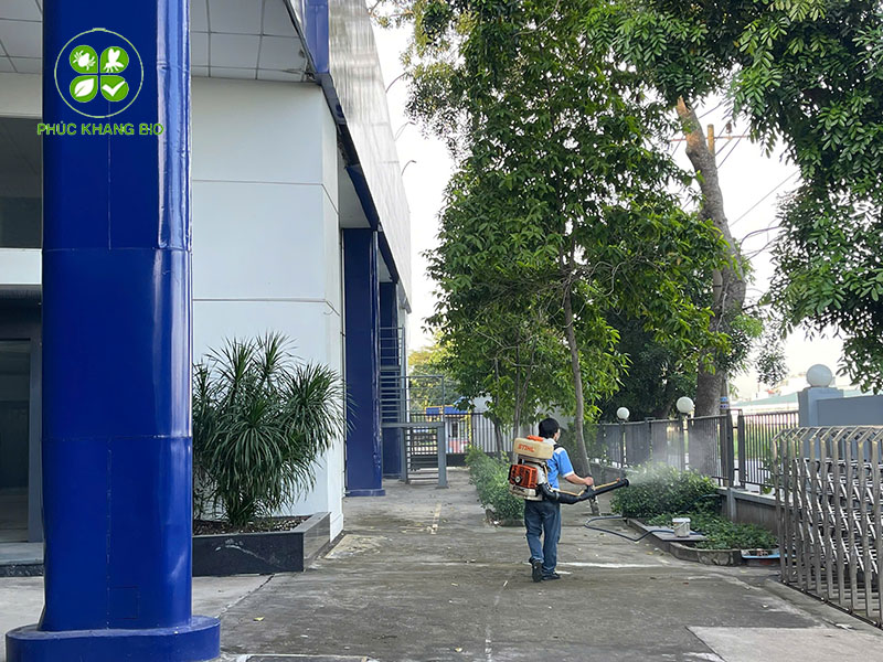 Chi phí diệt mối tận gốc