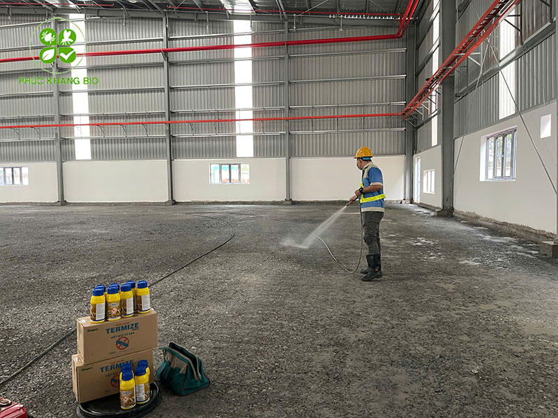 Diệt mối tại HCM uy tín, giá tốt