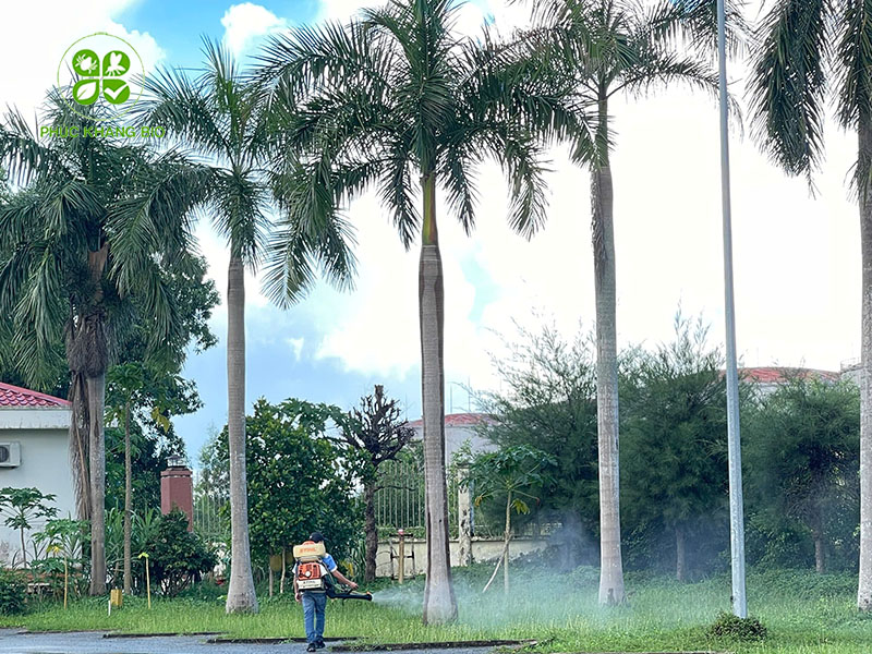 Giá dịch vụ diệt mối tại nhà
