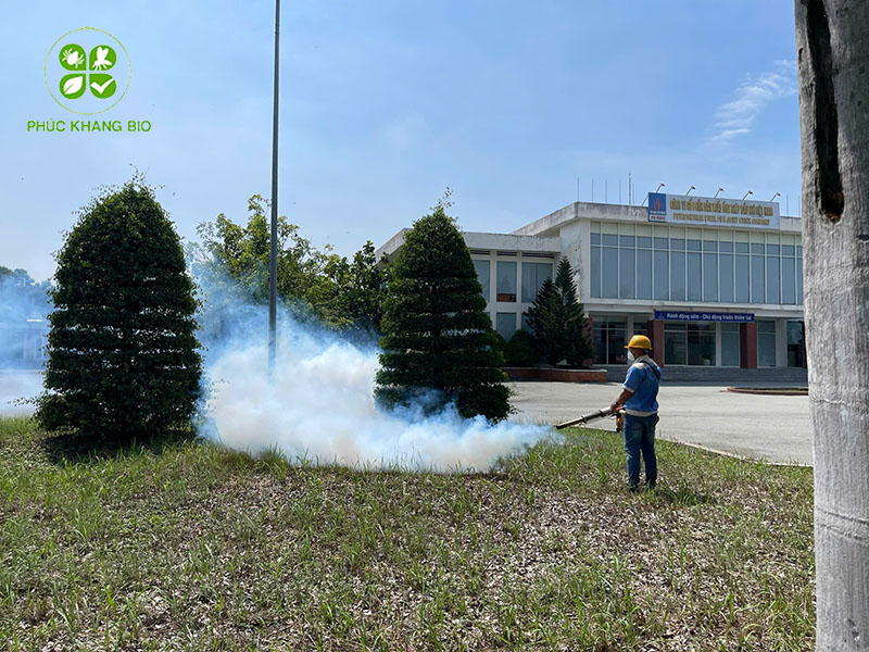 Đơn vị diệt mối uy tín tại HCM
