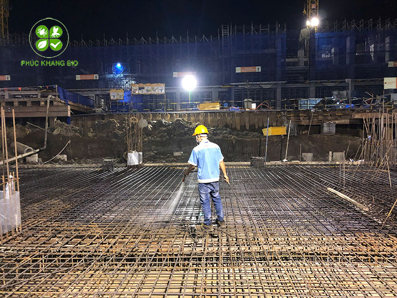 Dịch vụ phòng chống mối công trình hiệu quả