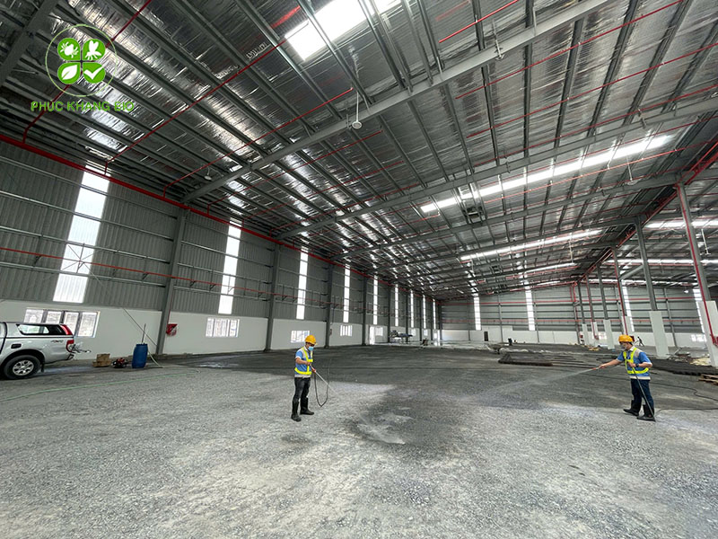 Dịch vụ phòng chống mối, diệt mối sạch