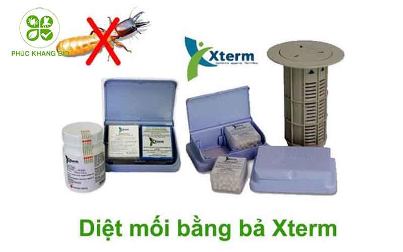 Dịch vụ diệt mối tận gốc bằng bả sinh học hãng Sumitomo