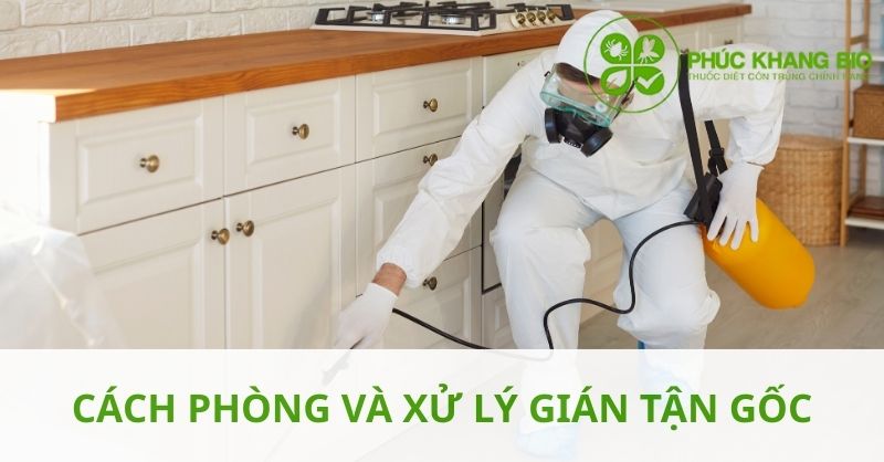 Vì sao cần diệt gián tận gốc