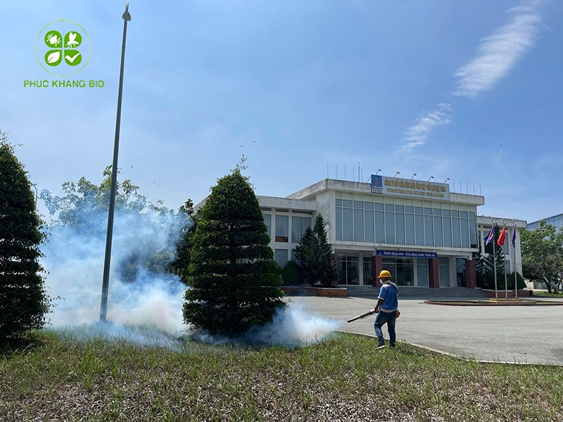Chọn dịch vụ phun diệt muỗi tận gốc cần lưu ý gì