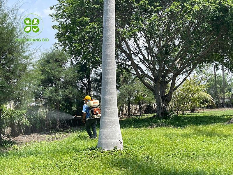 Áp dụng công nghệ tiến tiến vào diệt côn trùng