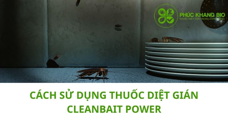 Hướng dẫn sử dụng thuốc diệt gián sinh học CLEANBAIT POWER