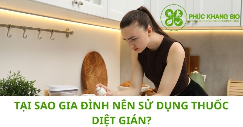 Tại sao gia đình nên sử dụng thuốc diệt gián?