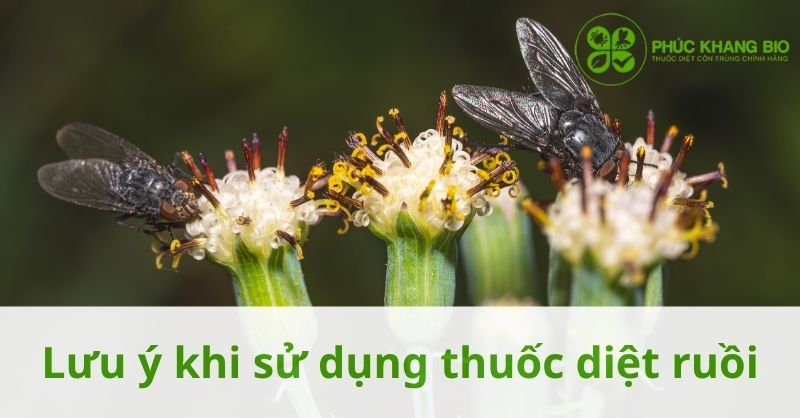 Lưu ý khi sử dụng thuốc diệt ruồi