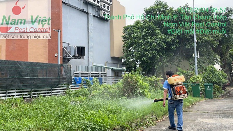 Dịch vụ phun diệt muỗi chất lượng có gì đặc biệt?